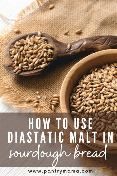 diastatic malt powder bread recipe